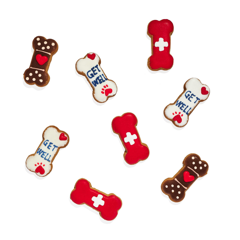 Thoughtfully Pets galletas para perros decoradas a mano, colores vivos para celebrar su día