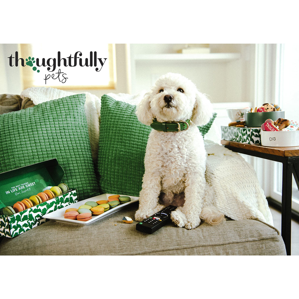 Thoughtfully Pets, ingredientes de grado humano para galletas de perro