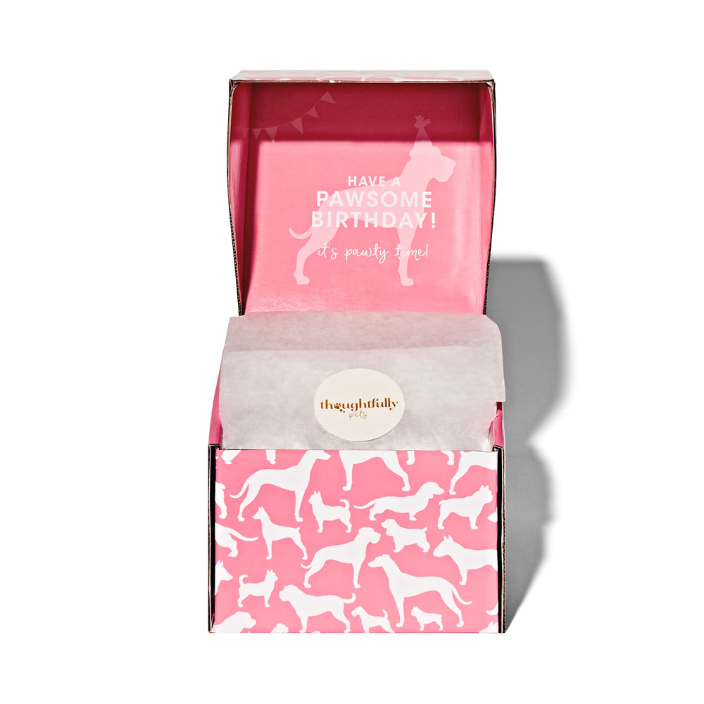 Thoughtfully Pets regalo para fiesta de perros en caja