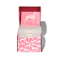 Thoughtfully Pets regalo para fiesta de perros en caja