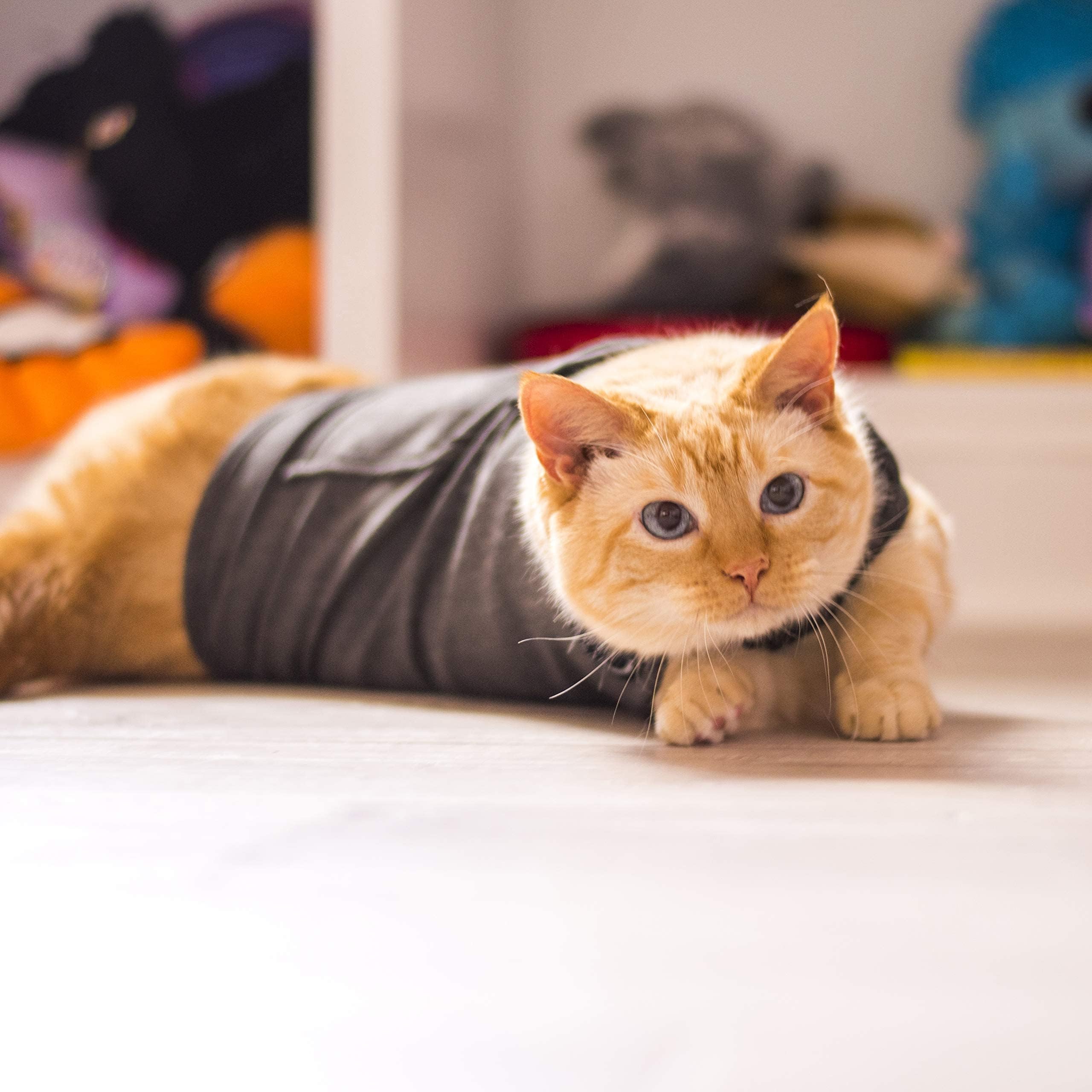 ThunderShirt en gris, empaque listo para probar en casa.