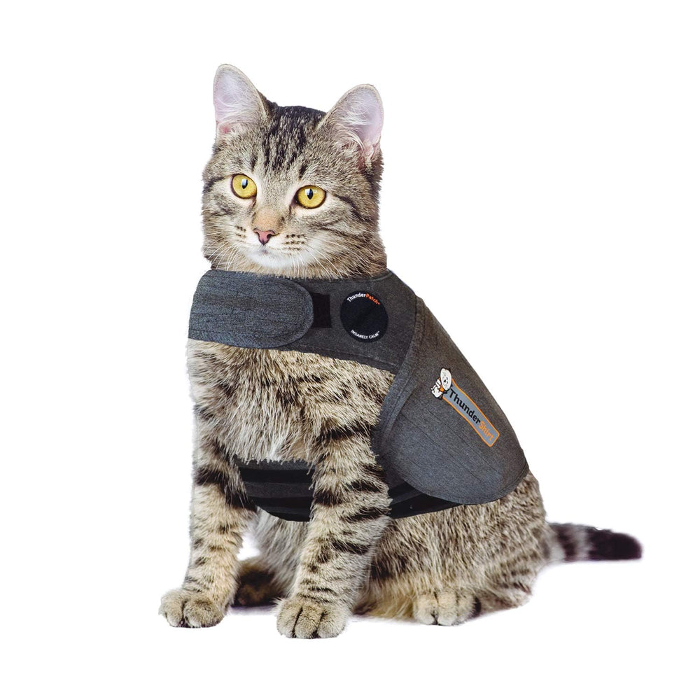 ThunderShirt clásico para gatos, frente gris, ayuda a calmar la ansiedad durante visitas al veterinario.