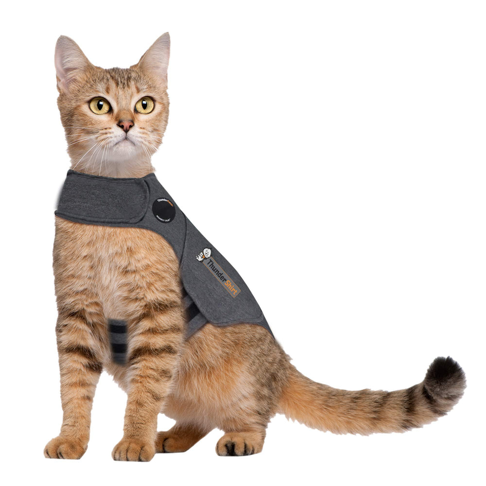 Thundershirt para gatos, ajuste ajustable que facilita un contorno suave.