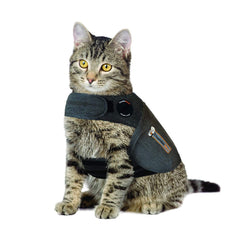 Thundershirt para gatos gris con ajuste cómodo para tranquilizar durante visitas.
