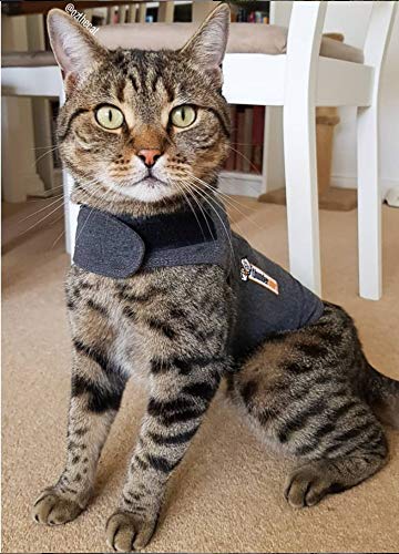 Thundershirt uso recomendado en visitas al veterinario o viajes.