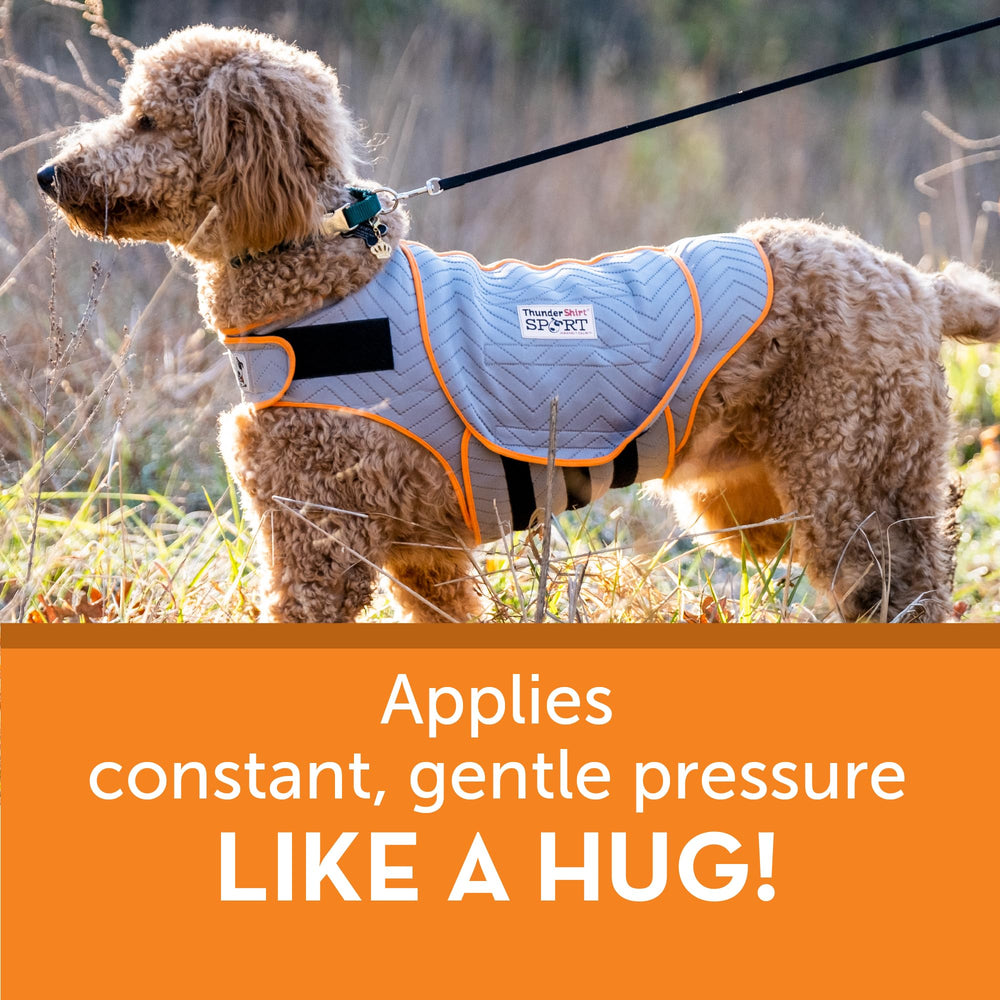 ThunderShirt para perros; logos reflectantes, mejor visibilidad nocturna.