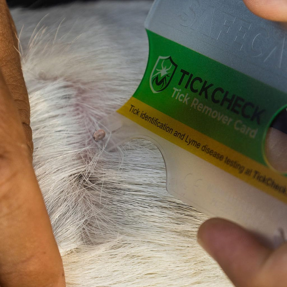 TickCheck Amplia aceptación en Europa demuestra confiabilidad