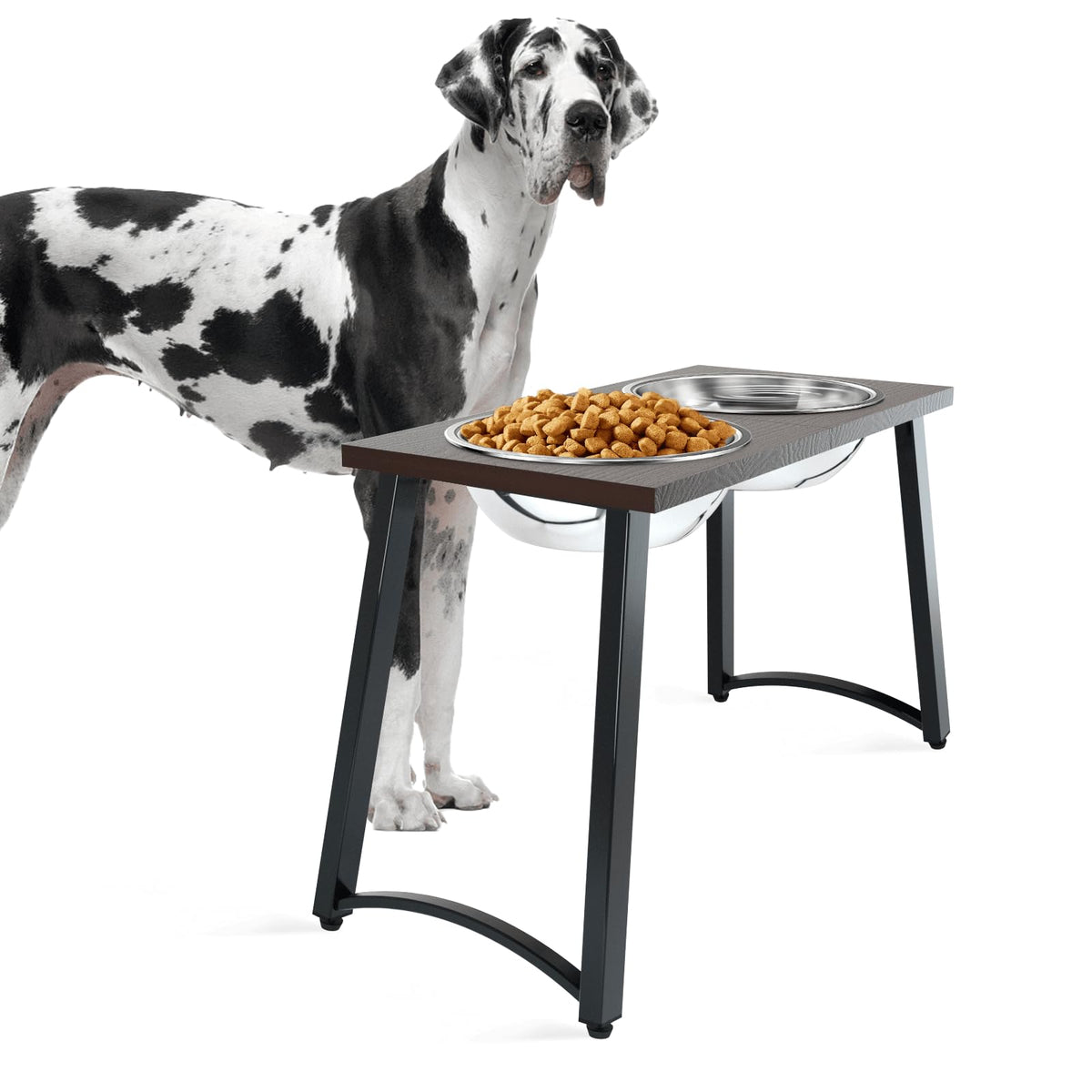 TIDANT base elevada para perros grandes, comodidad al comer en altura
