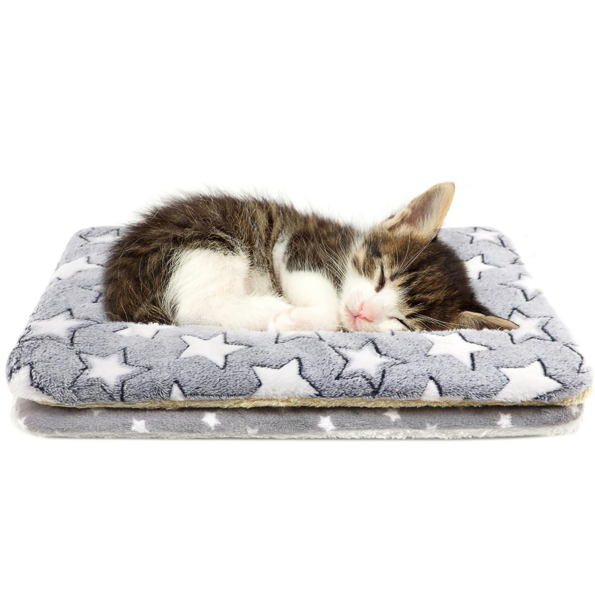 Manta Tierecare para gatos interiores; suave y cálida para descanso cómodo.