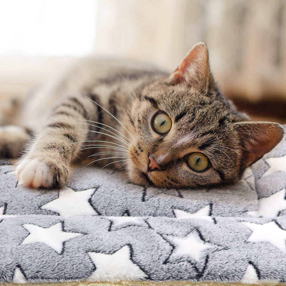 Manta Tierecare para gatos interiores; protege garras y aporta comodidad relajante.