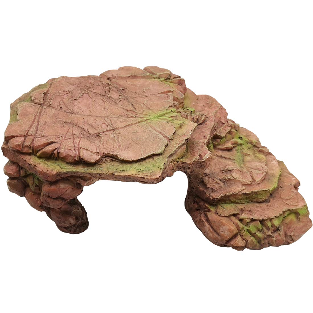 TIHOOD plataforma tortugas en acuario rectangular para observar mejor y descansar