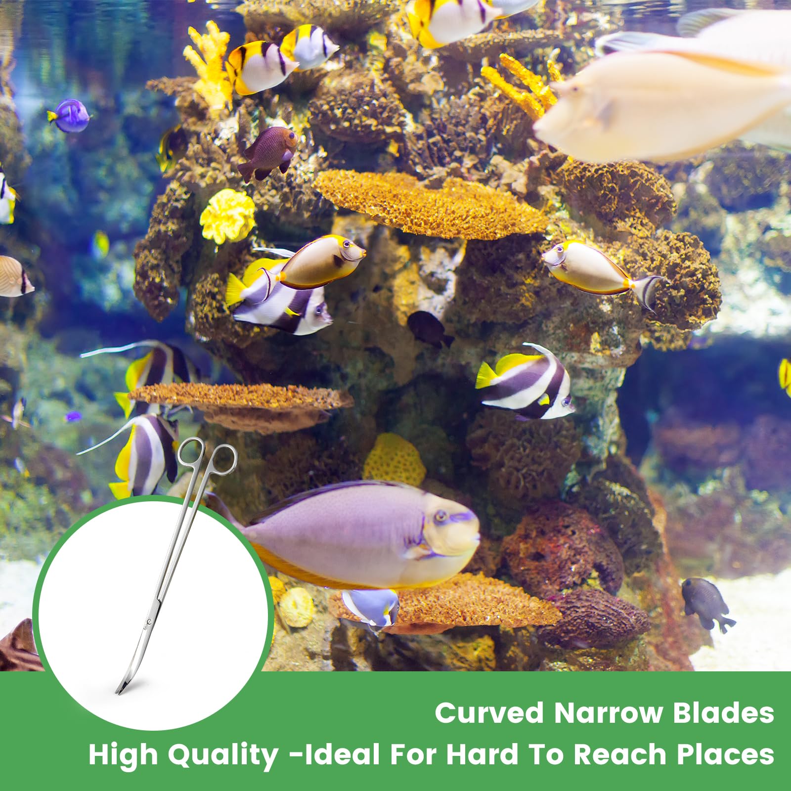 Tijeras de Acuario para poda de plantas acuáticas en acuarios.