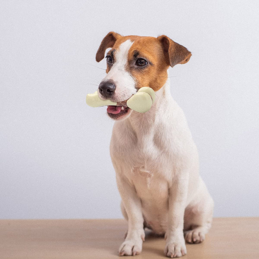 Tikaton durabilidad para horas de juego en perros pequeños