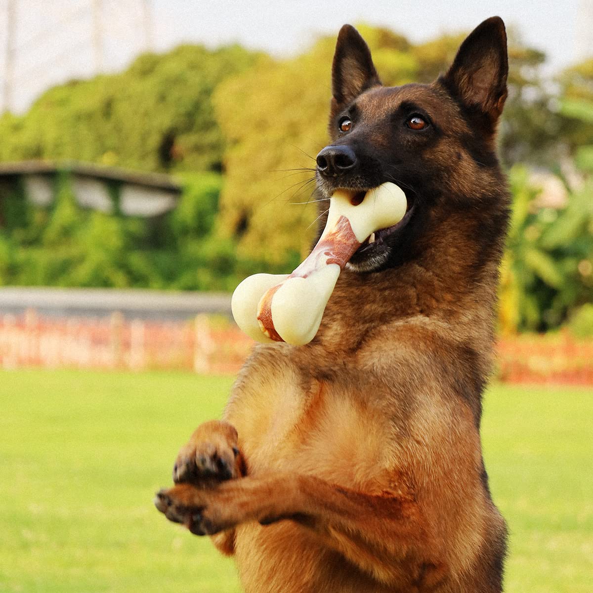 Tikaton Juguete masticación duradero para perros, ofrece masticación prolongada y seguridad.