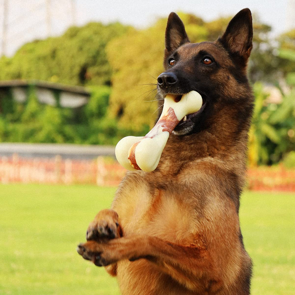 Tikaton Juguete masticación duradero para perros, ofrece masticación prolongada y seguridad.