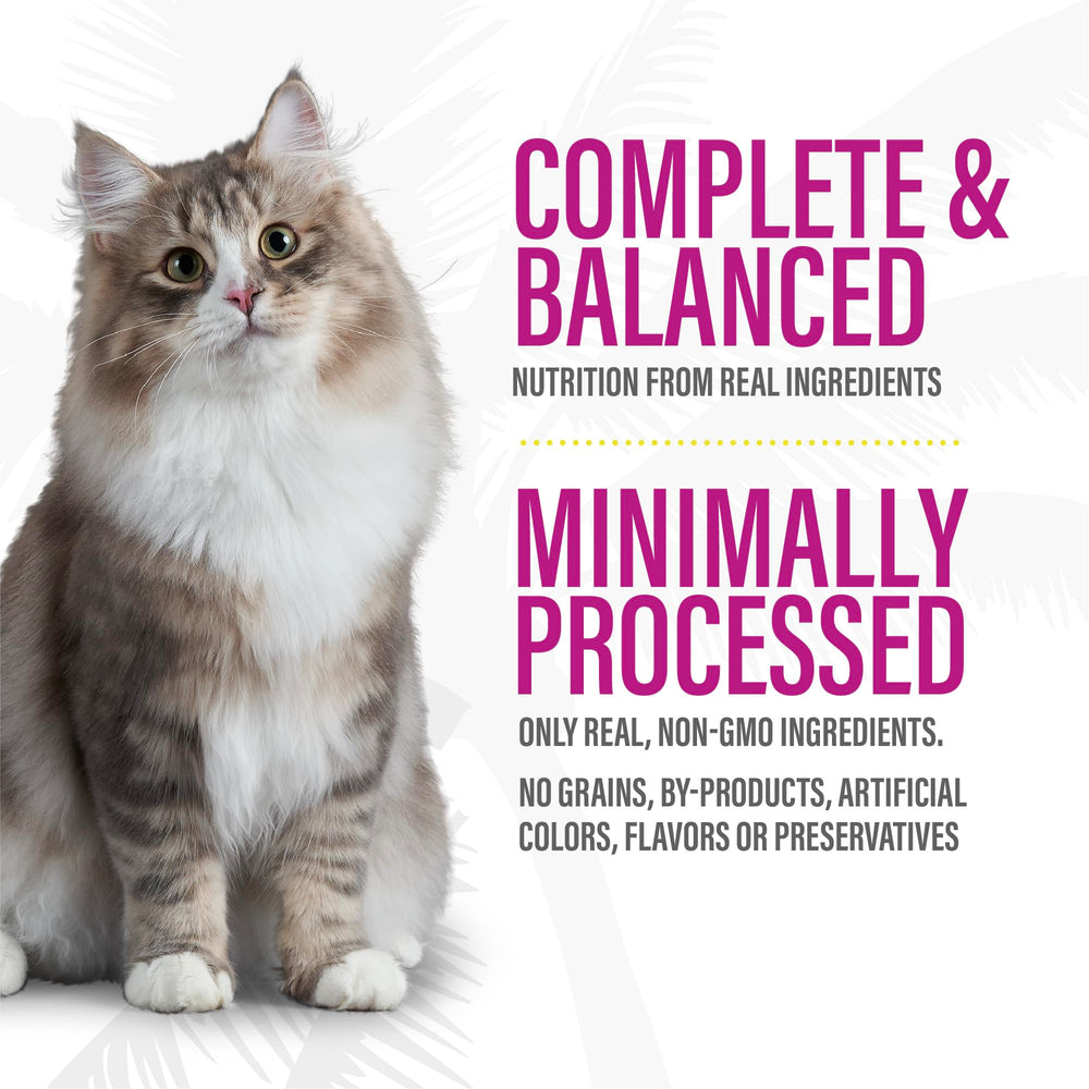 Tiki Cat After Dark Pate dieta carnivora, sabor real de pavo para gatos adultos.