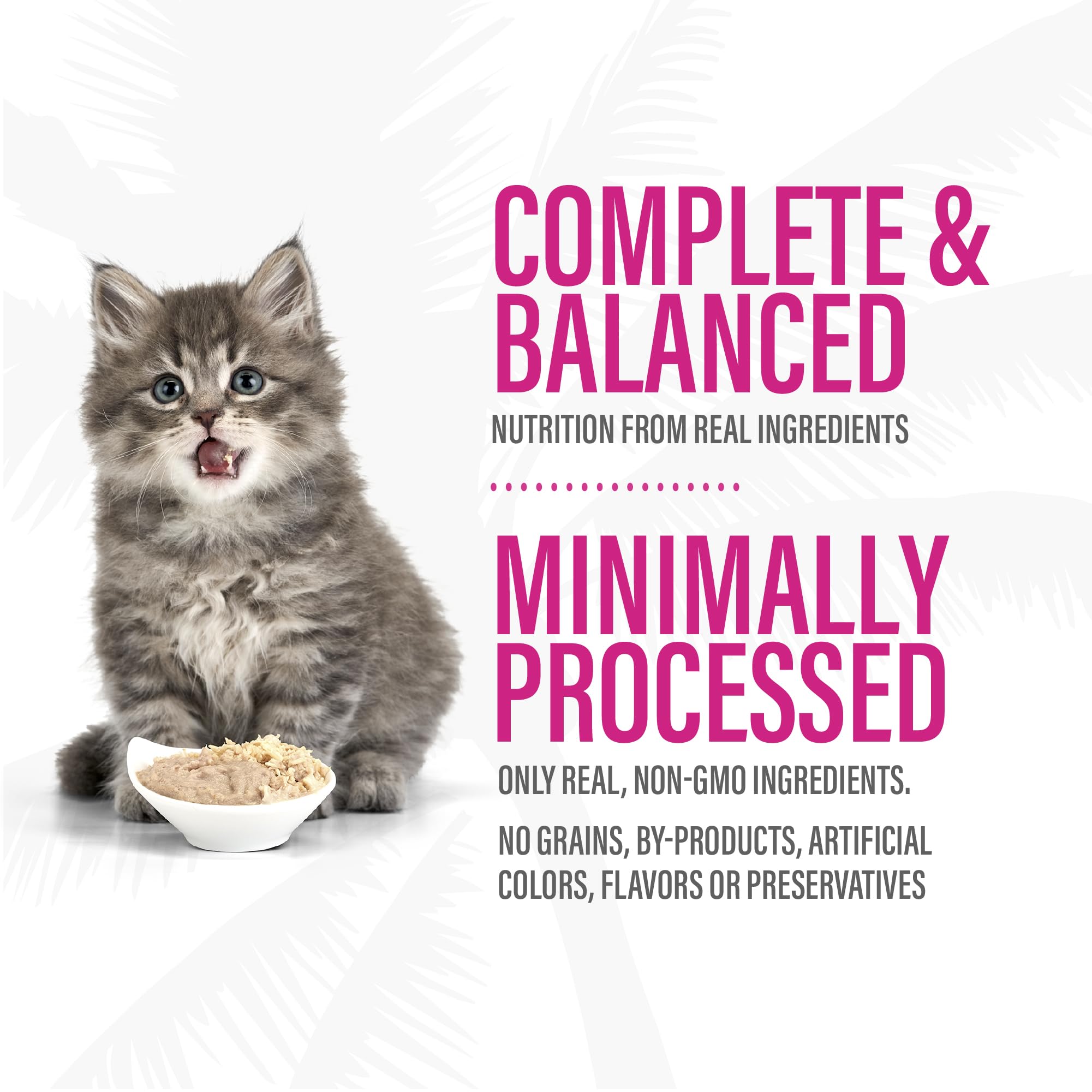 TIKI PETS Tiki Cat Baby Pate nutrición para crecimiento de gatitos.