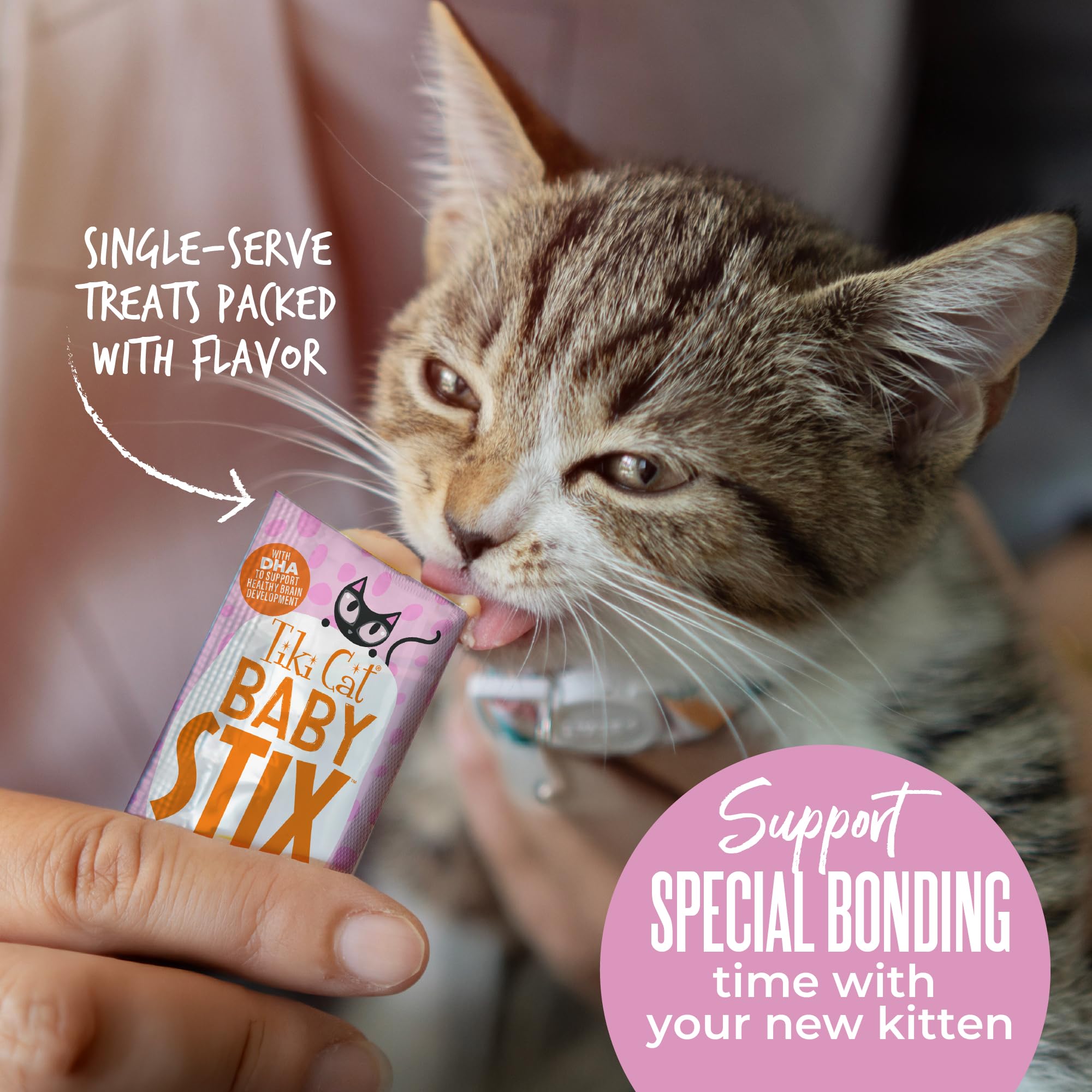 Uso de Tiki Cat Baby Stix durante viaje para gatitos.