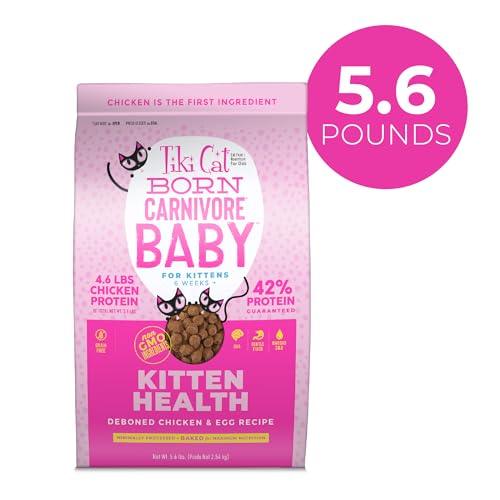 Croquetas crujientes para gatitos con proteína real y sabor suave.