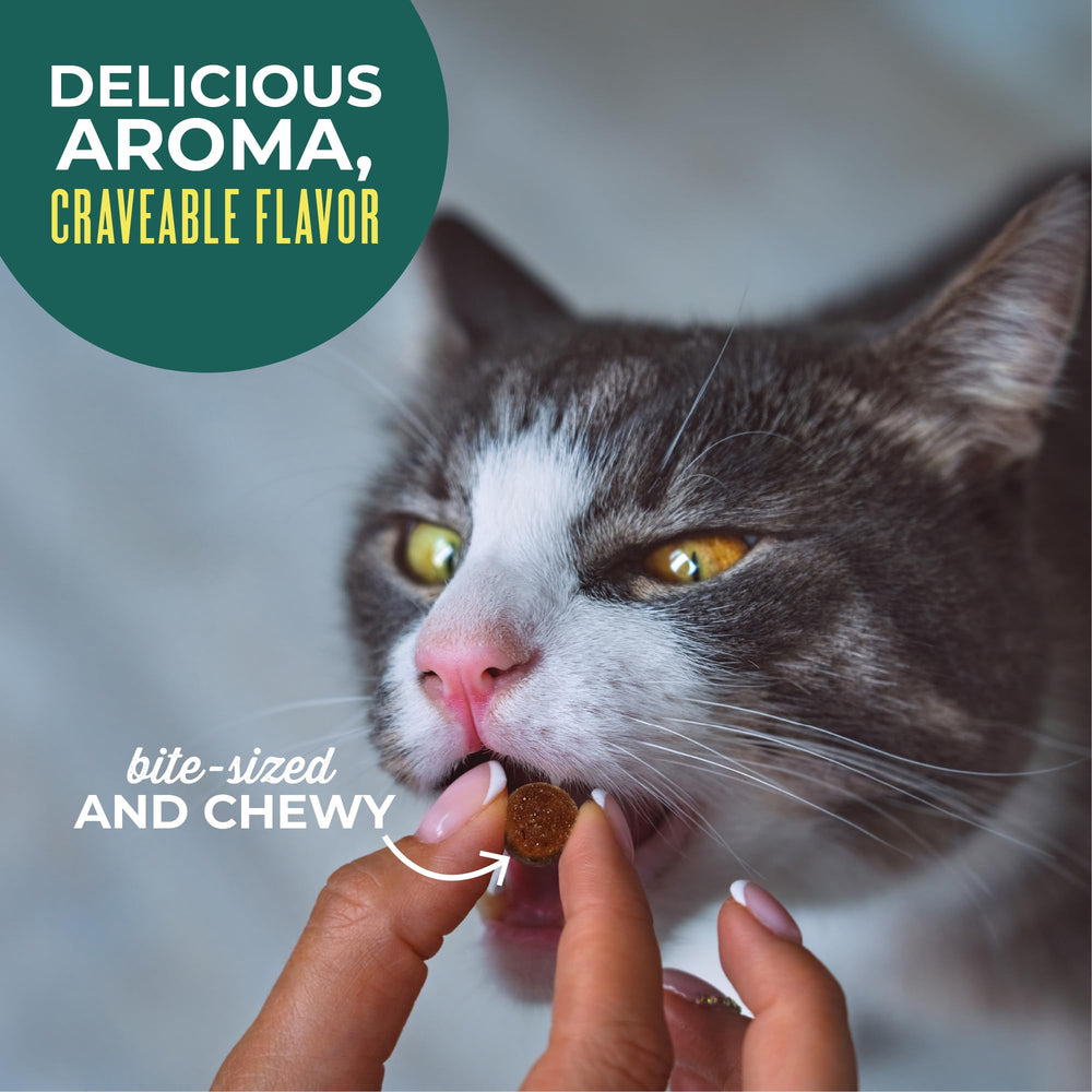 Tiki Cat Soft & Chewy, atún como ingrediente principal, sabor natural.