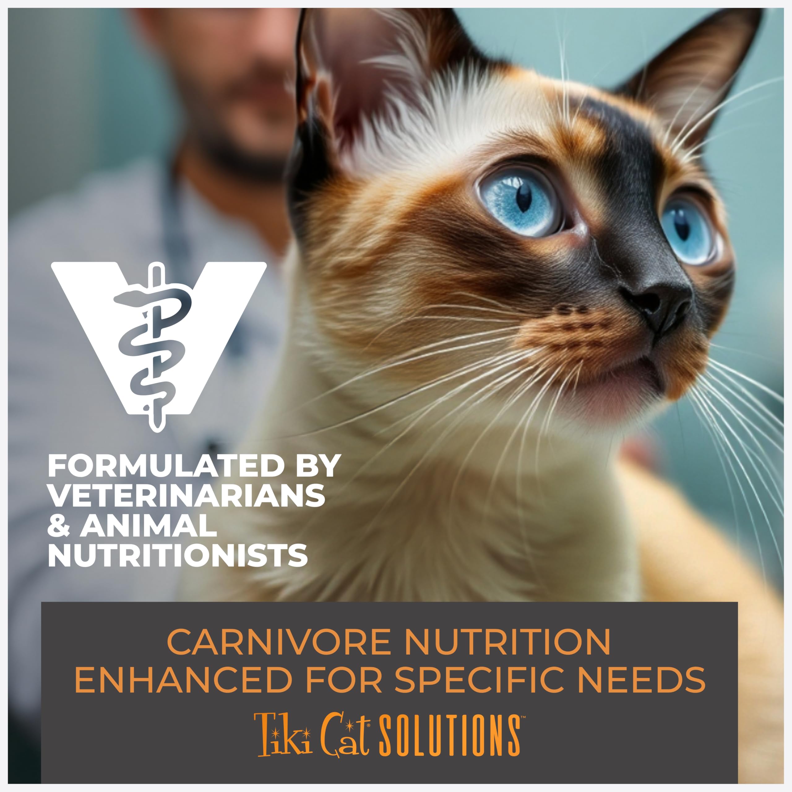 Tiki Cat Solutions Digestión fácil de digerir para gatos sensibles