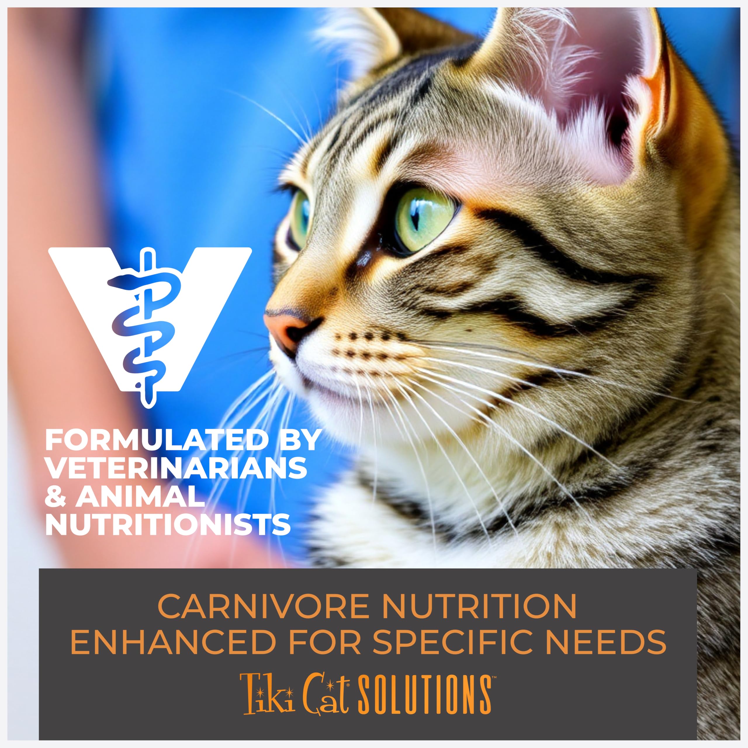 Tiki Cat Solutions kibble de acción mecánica para cepillado dental.