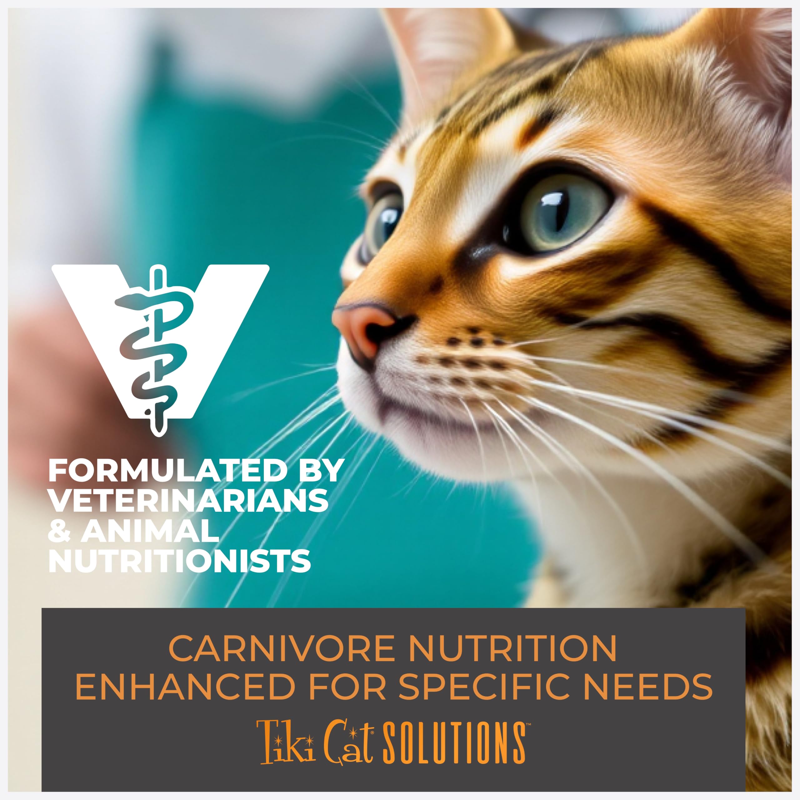 Producto formulado por veterinarios de Tiki Cat Solutions Mineral Balance Mousse.