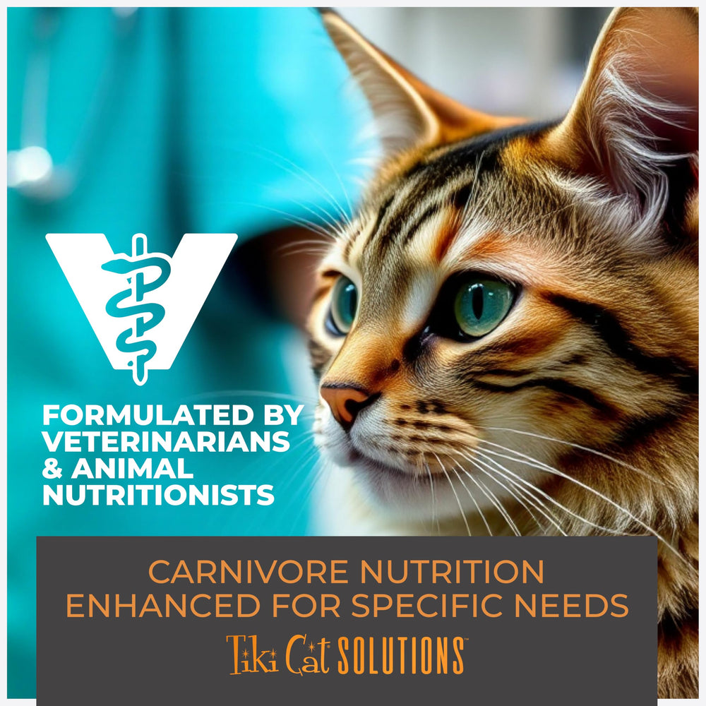 Aderezo para gatos activos que buscan sabor y nutrición diaria.