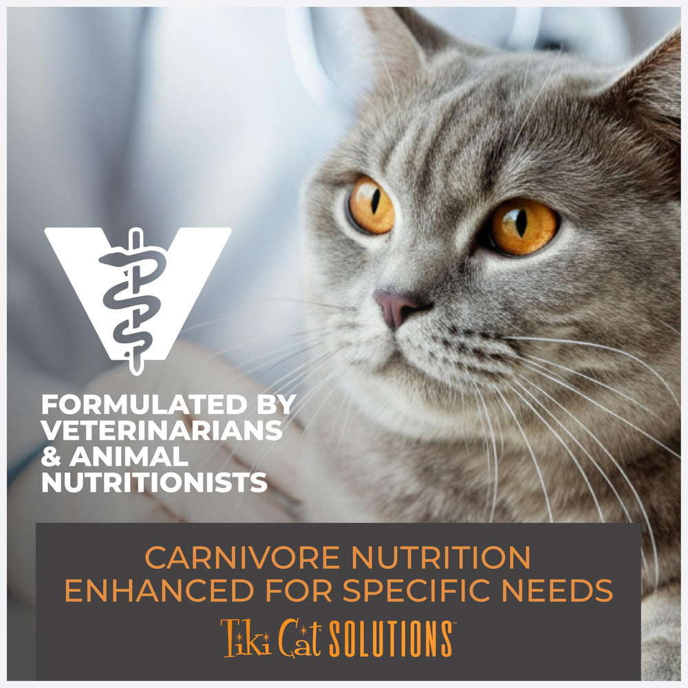 Sin granos, Tiki Cat Solutions Topper Light respeta dietas sensibles del felino.