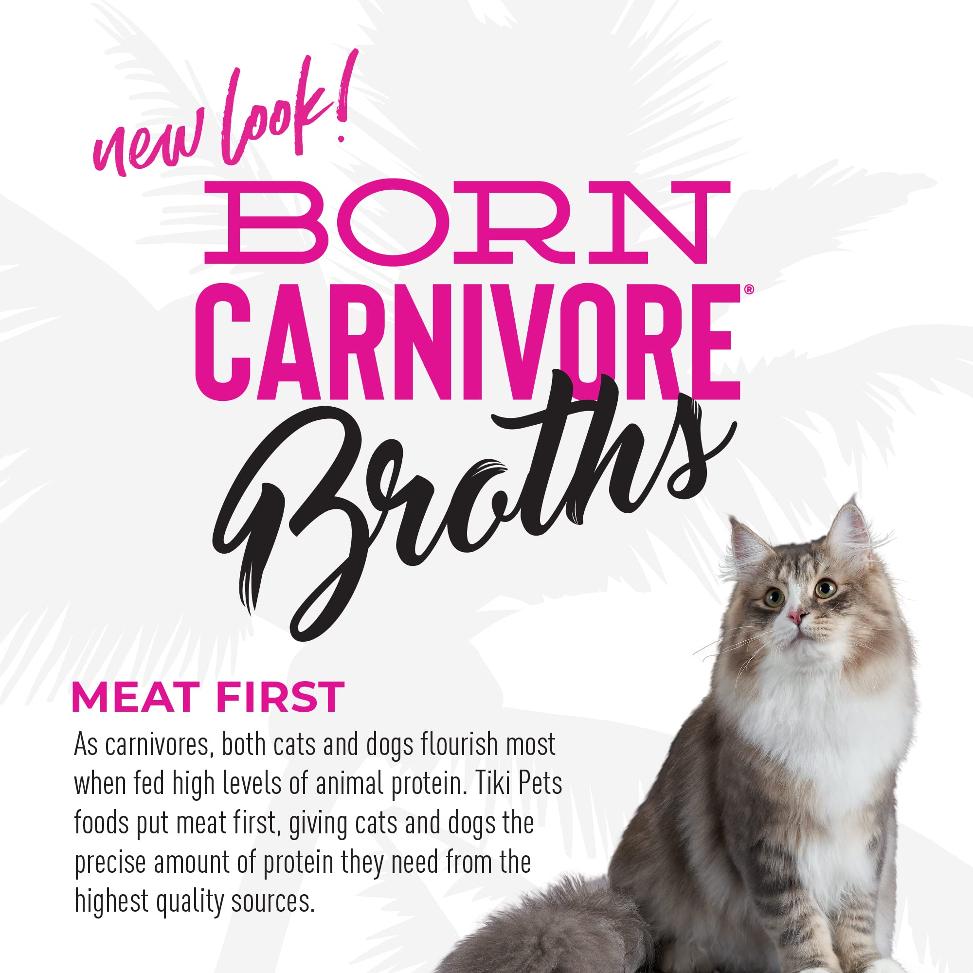 Tiki Cat Born Carnivore Caldo ayuda a la hidratación diaria de tu gato
