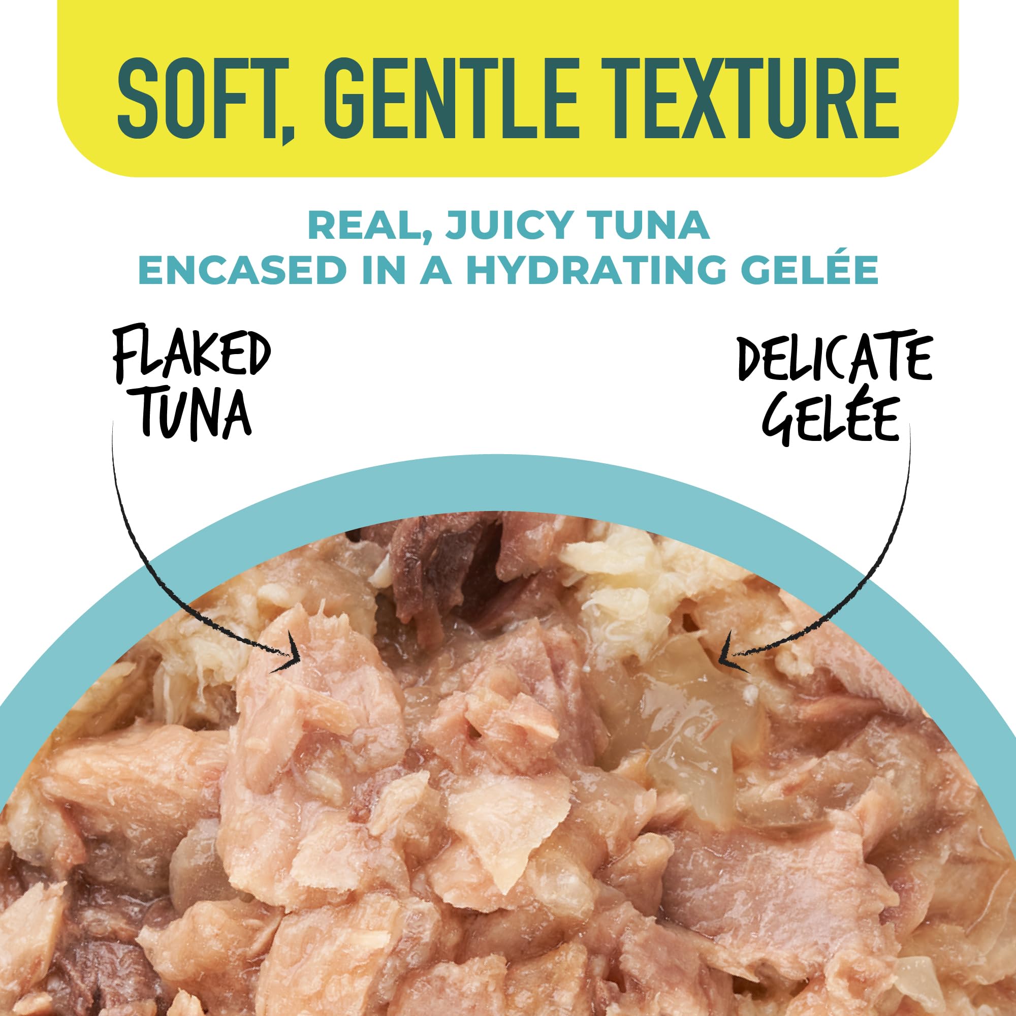 Tiki Cat Gelee variedad de sabores para gatos curiosos