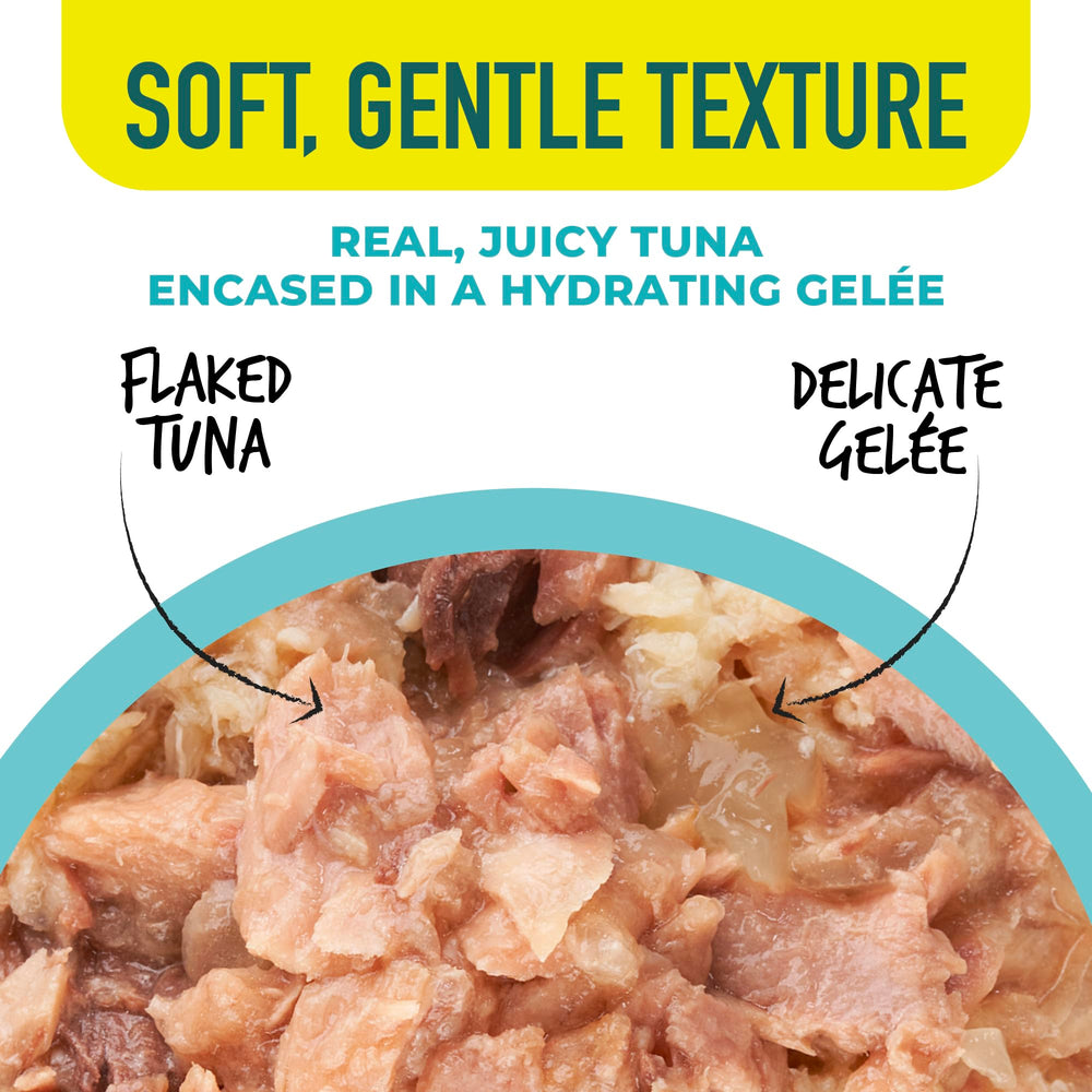 Tiki Cat Gelee variedad de sabores para gatos curiosos