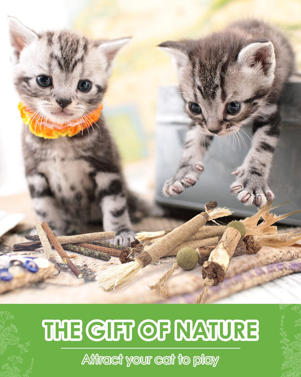 TINDTOP pack de doce varitas, opción natural de entretenimiento para gatos curiosos.