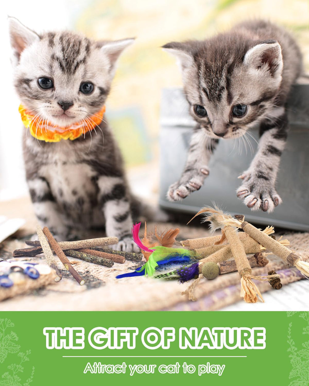 TINDTOP pack silvervine para gatos, variedad de mordedores.