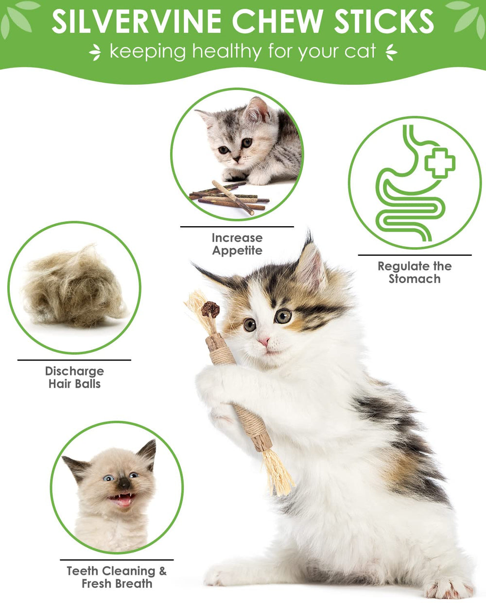 Palitos matatabi para cuidado dental de gatos, ayuda a limpiar dientes de modo natural.
