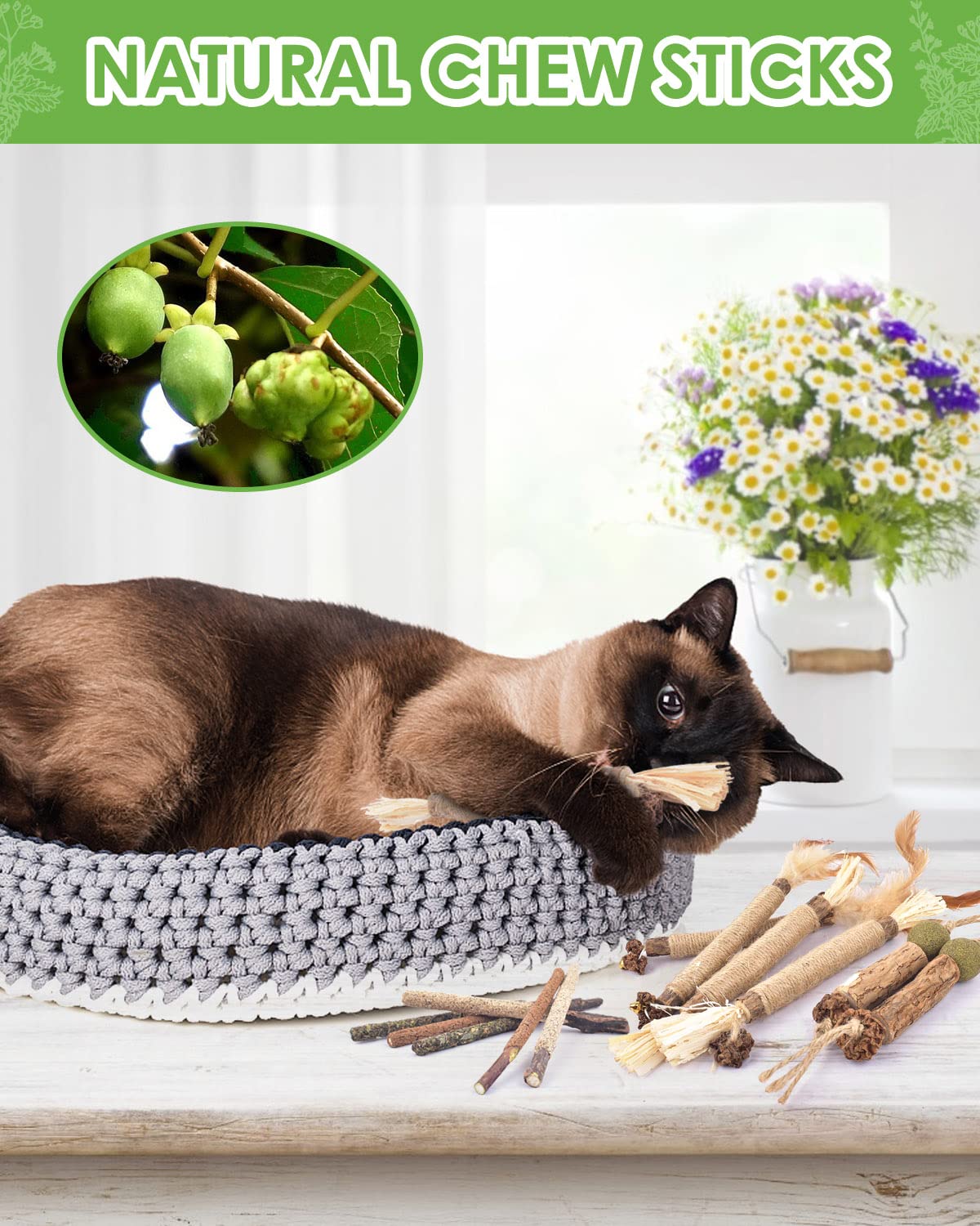 TINDTOP palitos de silvervine naturales, para dientes limpios y mejor higiene oral.