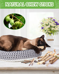 TINDTOP palitos de silvervine naturales, para dientes limpios y mejor higiene oral.