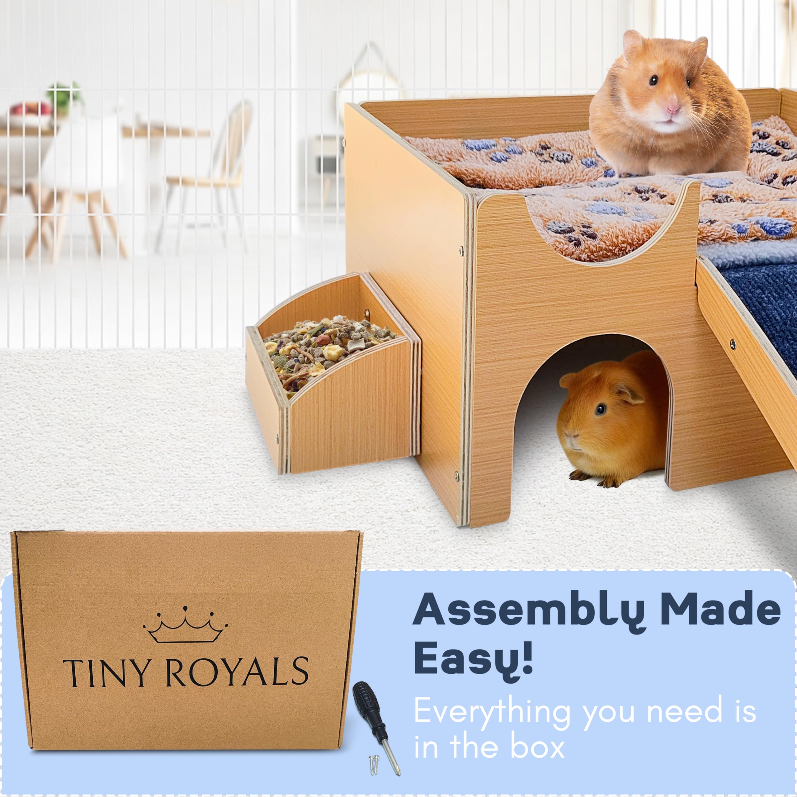 Interior de Tiny Royals, espacioso con plataforma superior para descansar.