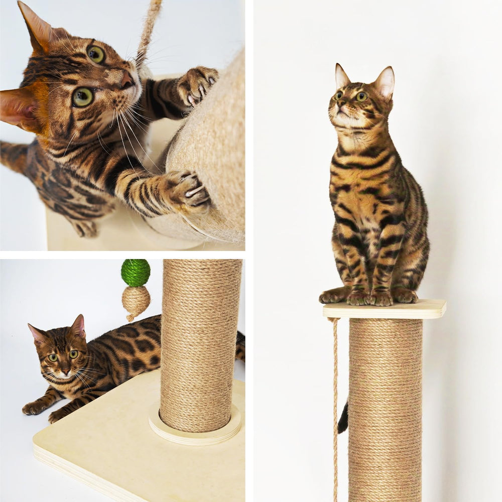 TinyBeast diseño estable previene vuelcos, ideal para gatos de distintos tamaños