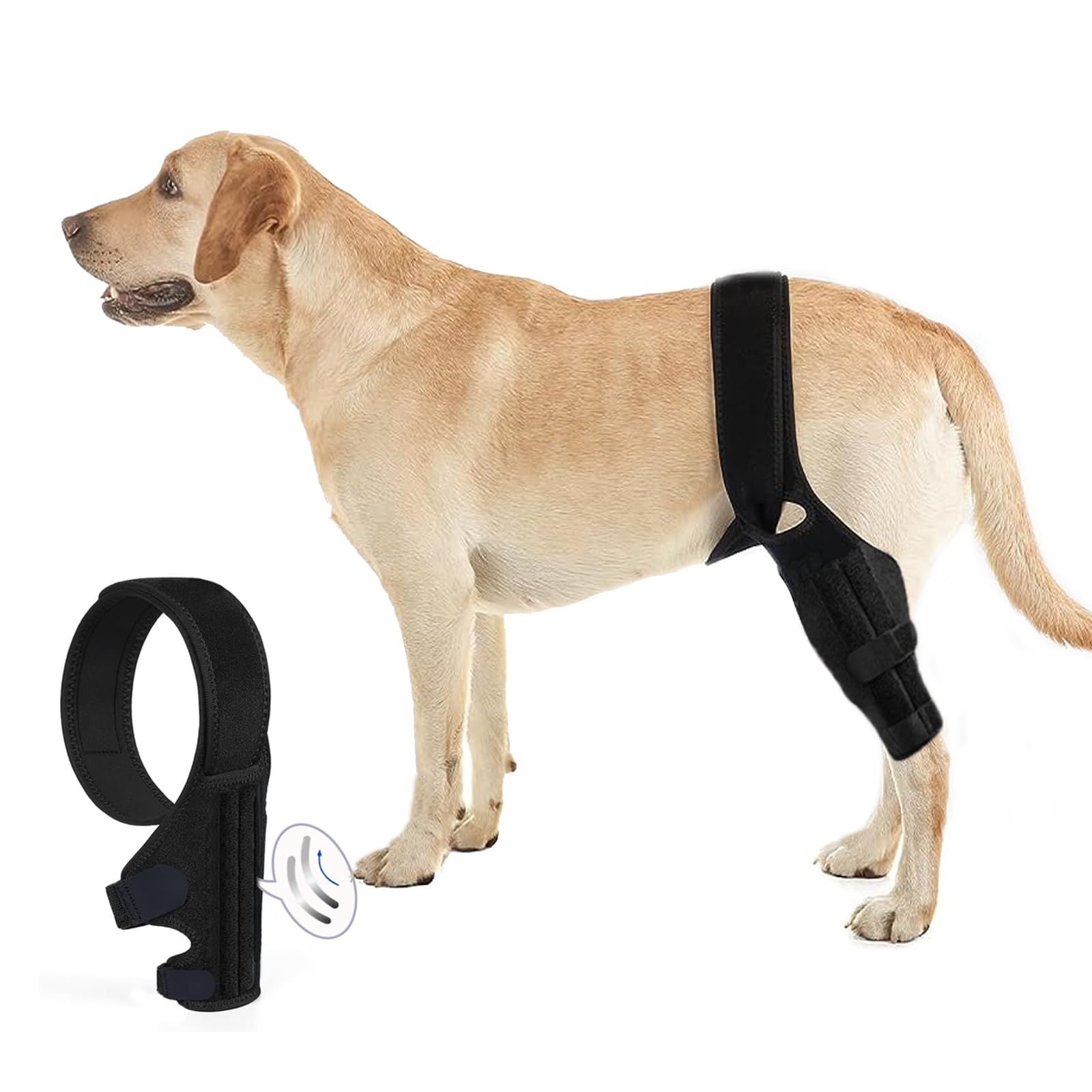 Tinzum L rodilla de perro con doble soporte para mayor estabilidad.