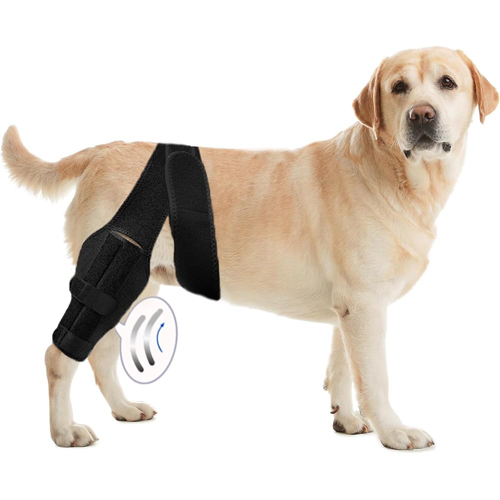 Tinzum Protección de rodilla para perro, ajuste cómodo para mayor estabilidad durante paseos.