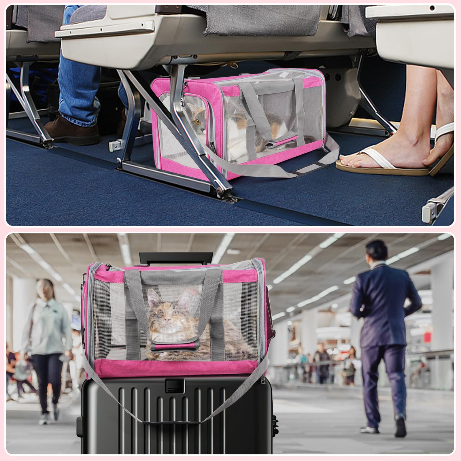 TIYOLAT carrier dimensiones 17,2 x 12 x 12 pulgadas para mascotas