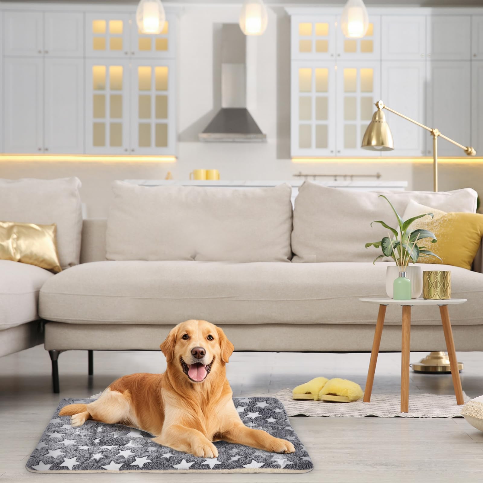 TMbsfatn medidas 33x23x1-5in, adecuada para perros pequeños y medianos.