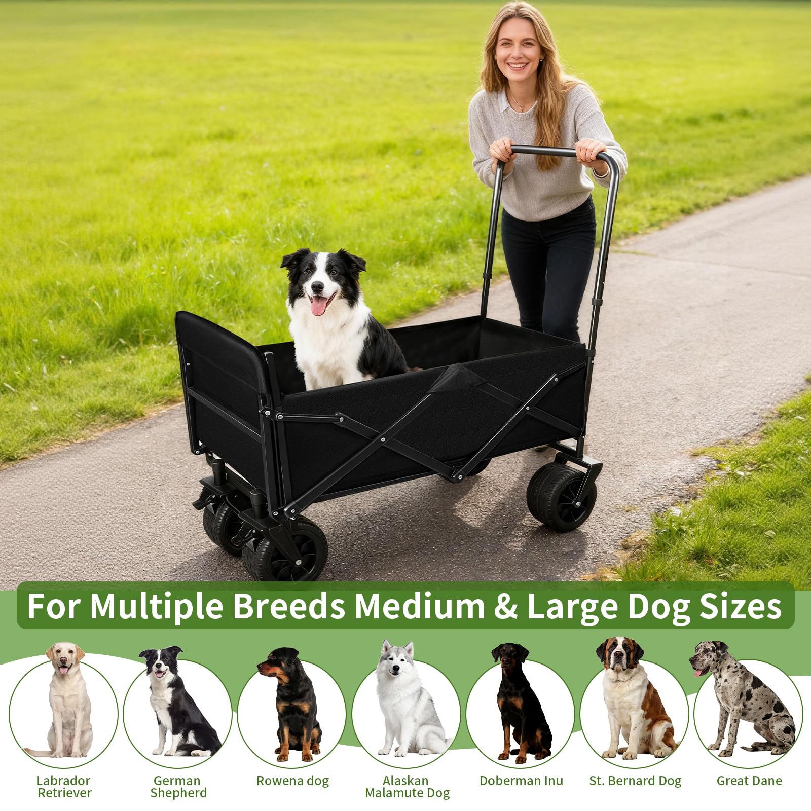 TNELTUEB carrito para perros grandes plegable, almacenamiento rápido para coche.