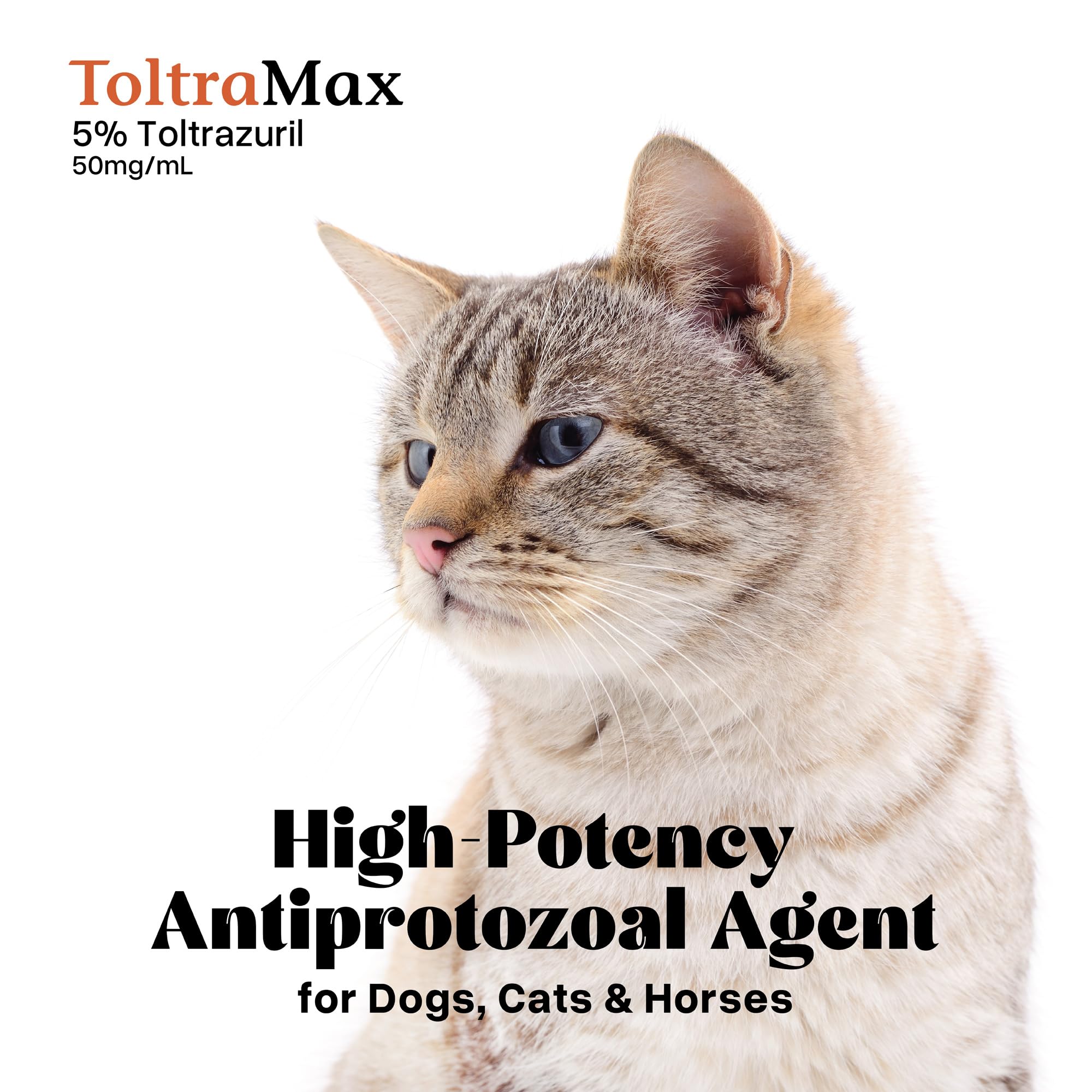 ToltraMax Toltrazuril 5.0% presentación para animales de compañía.