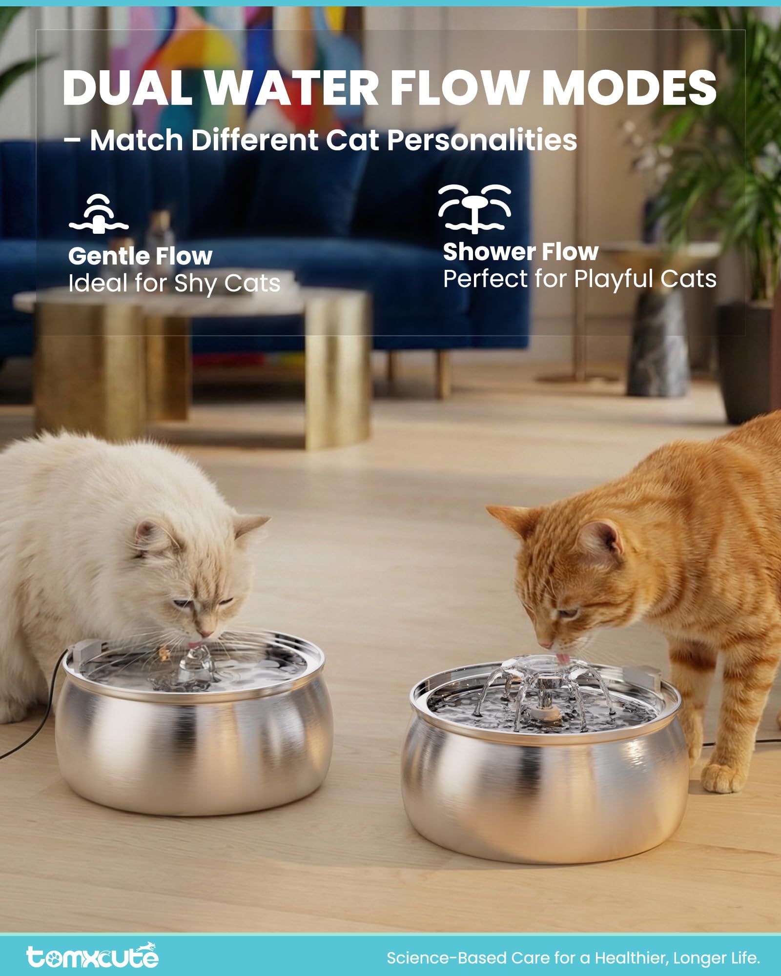 Tomxcute fuente para gatos con bomba ultra silenciosa para uso nocturno.