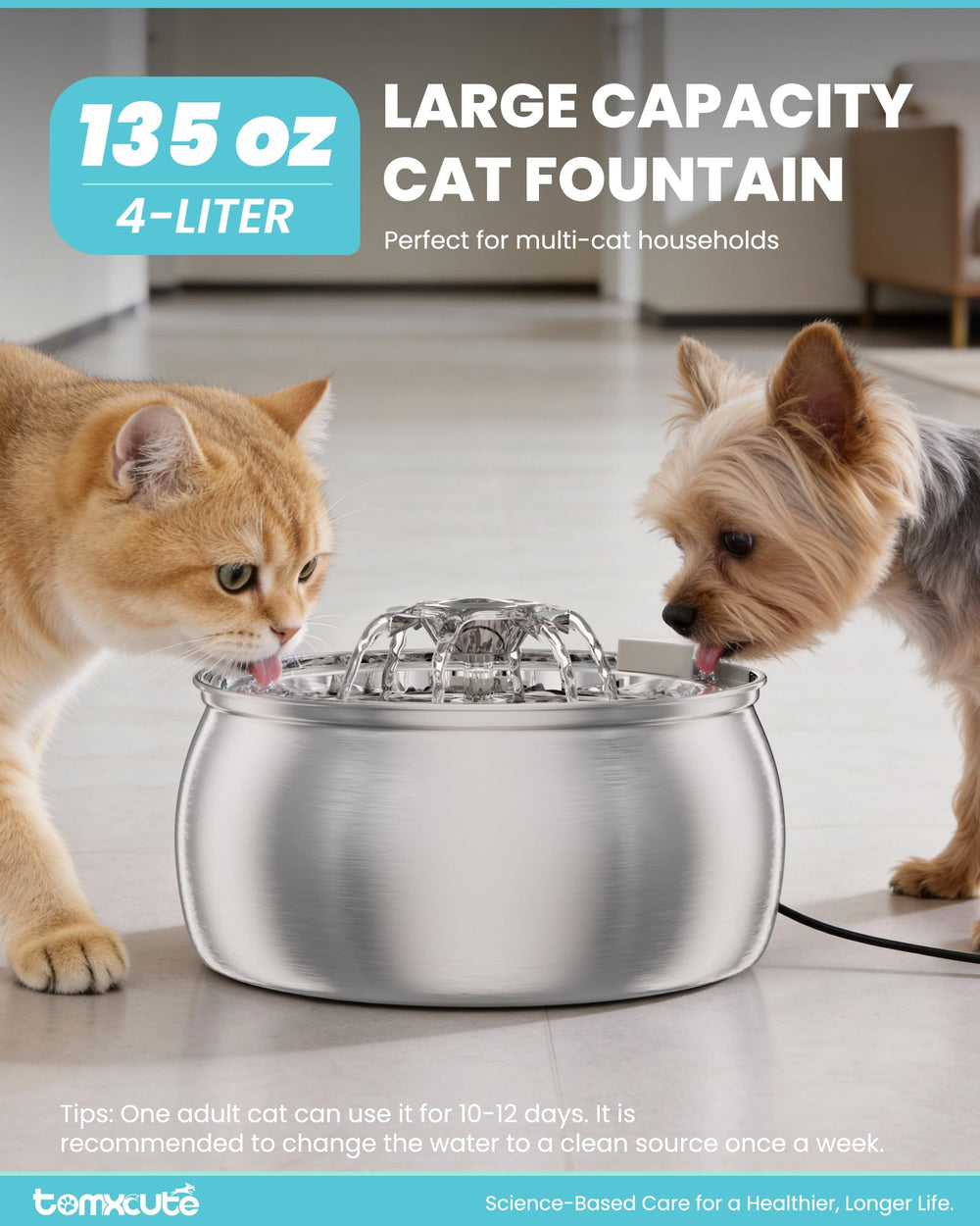 Tomxcute fuente con filtración triple mantiene agua más limpia para tus mascotas.