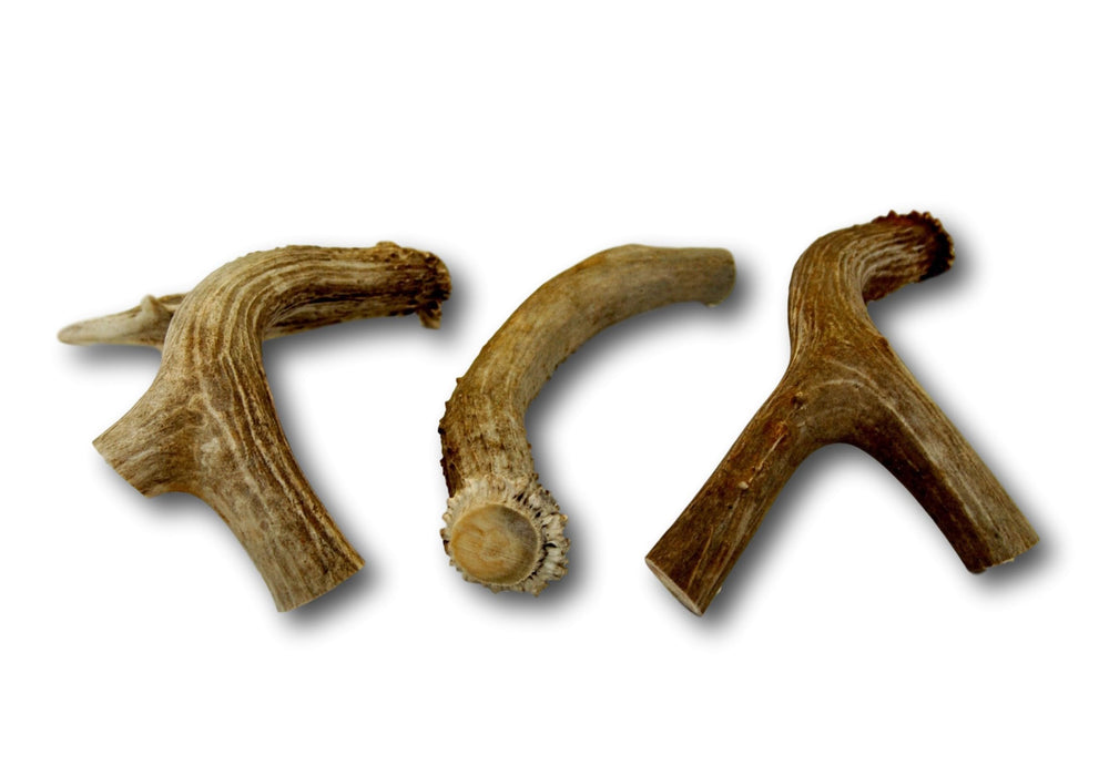 Top Dog Chews cuernos con formas y tamaños variados para masticación segura.