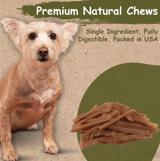 Top Dog Chews: tendones de pavo, cuidado dental mediante masticación.