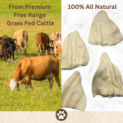 Top Dog Chews orejas de vaca gruesas aptas para perros de todos los tamaños